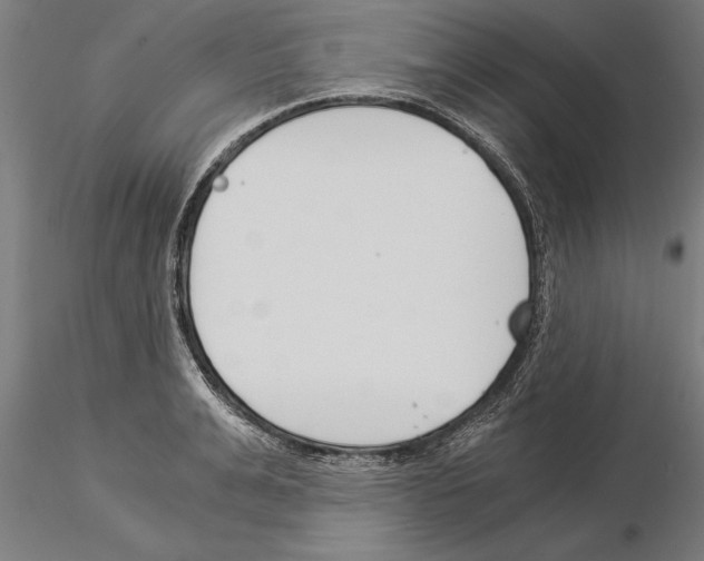 X0000115260991200912111136