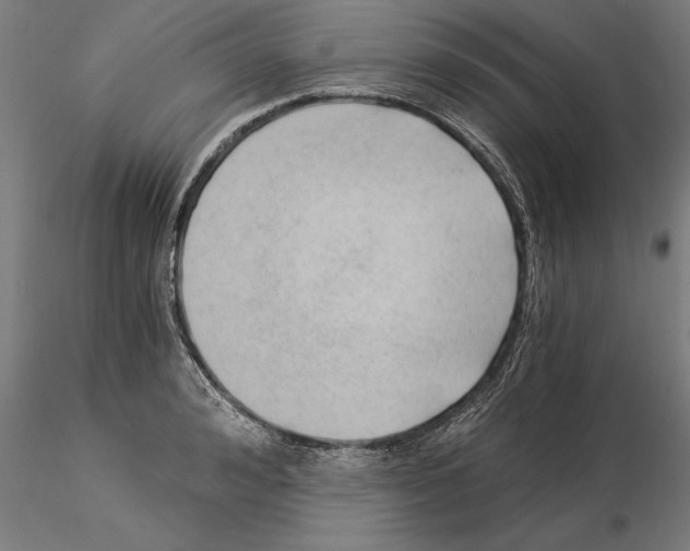 X0000115260992200912111136