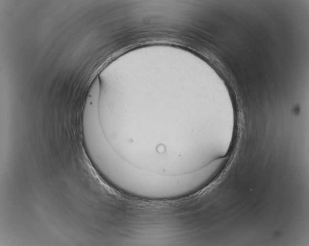 X0000115260993200912111136