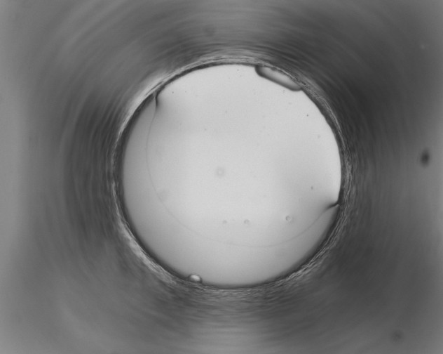 X0000115260997200912111136