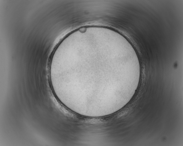 X0000115260998200912111136