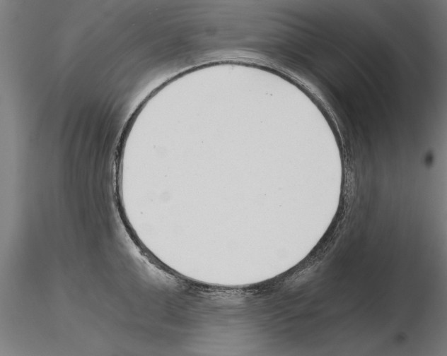 X0000115260999200912111136