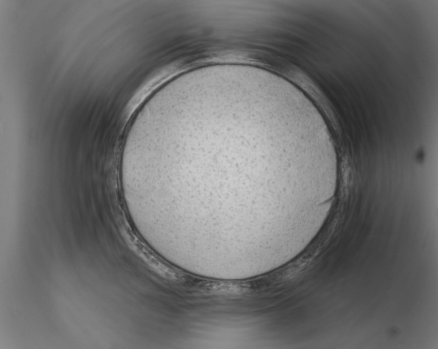 X0000115261002200912111136