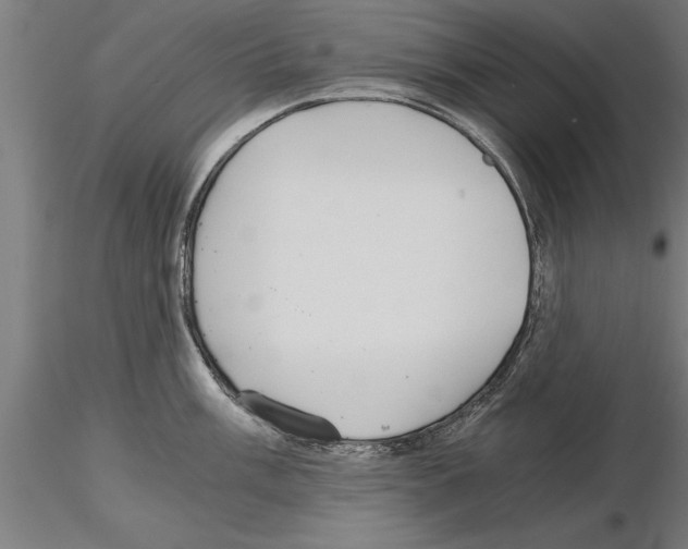 X0000115261003200912111136