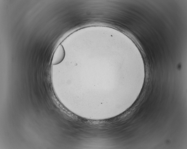 X0000115261004200912111136