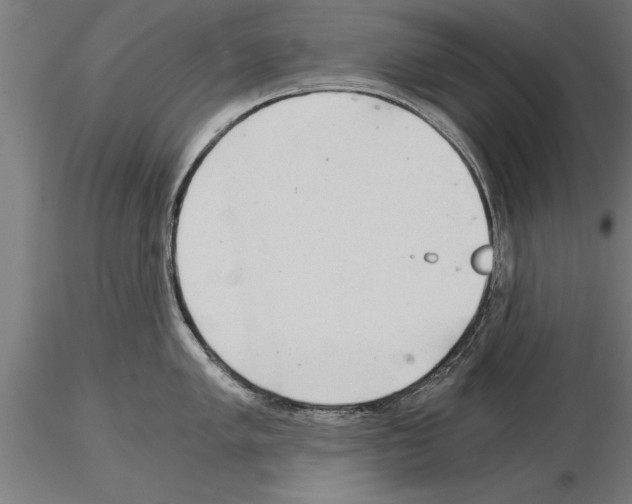 X0000115261005200912111136