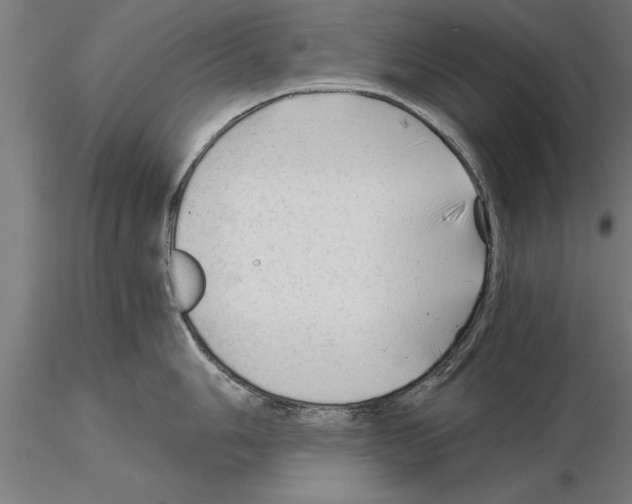 X0000115261006200912111136