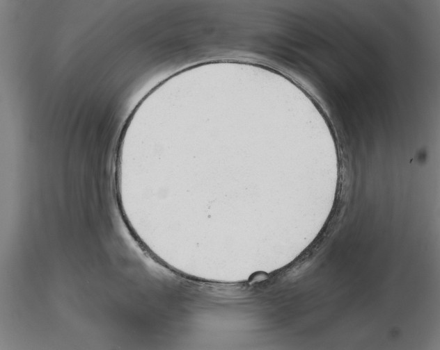 X0000115261007200912111136