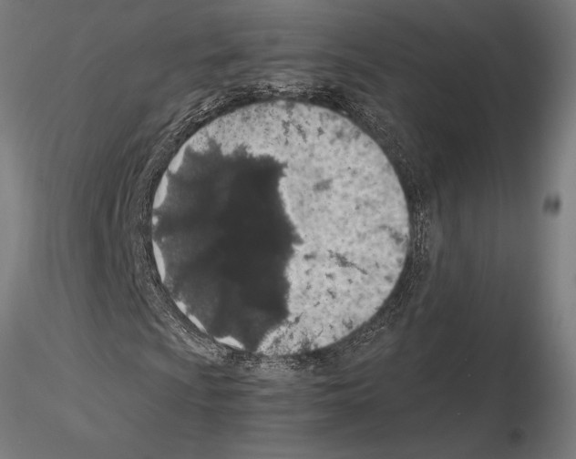 X0000115261009200912111135