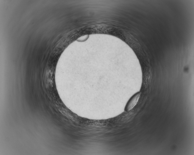 X0000115261010200912111135