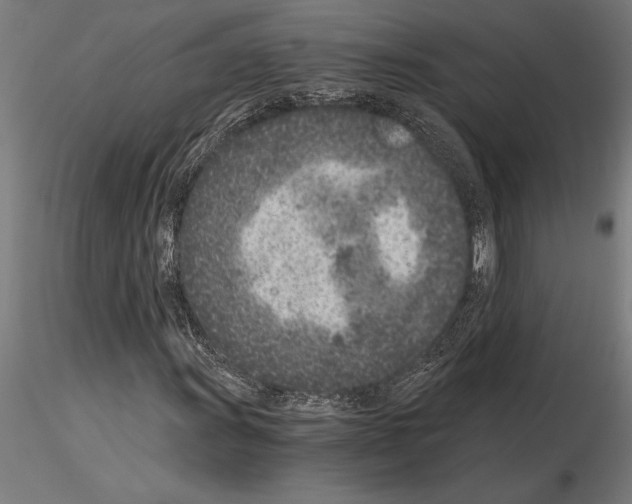 X0000115261011200912111135