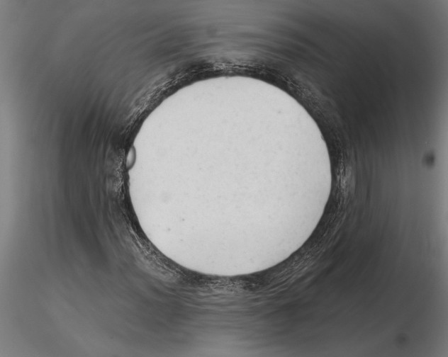 X0000115261012200912111135