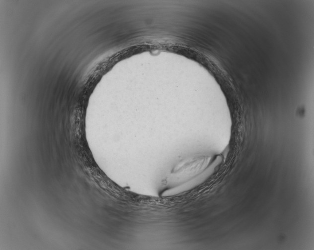 X0000115261016200912111135