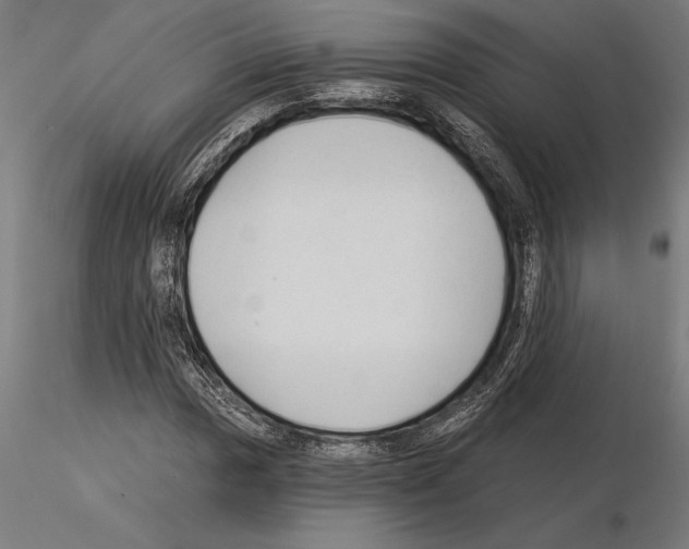 X0000115261017200912111135