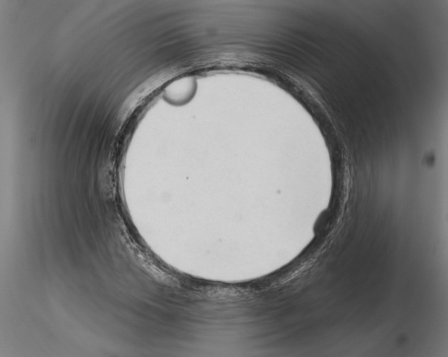 X0000115261018200912111135