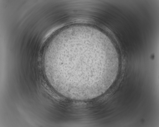 X0000115261019200912111135