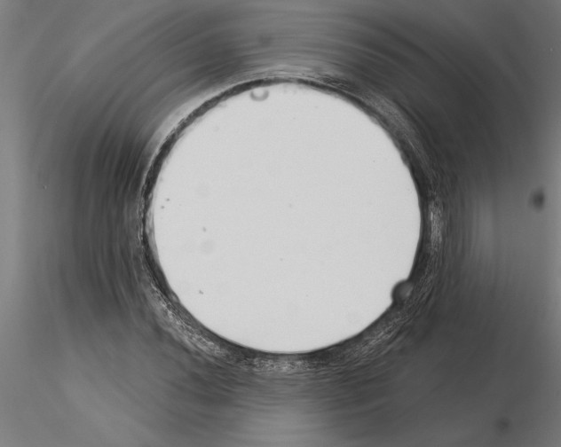 X0000115261020200912111135