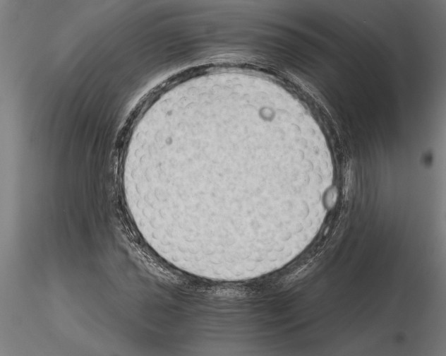 X0000115261021200912111135