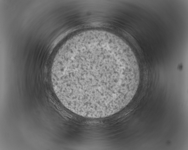 X0000115261023200912111135