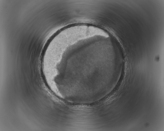 X0000115261024200912111135