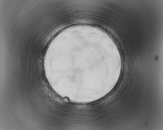 X0000115261025200912111135