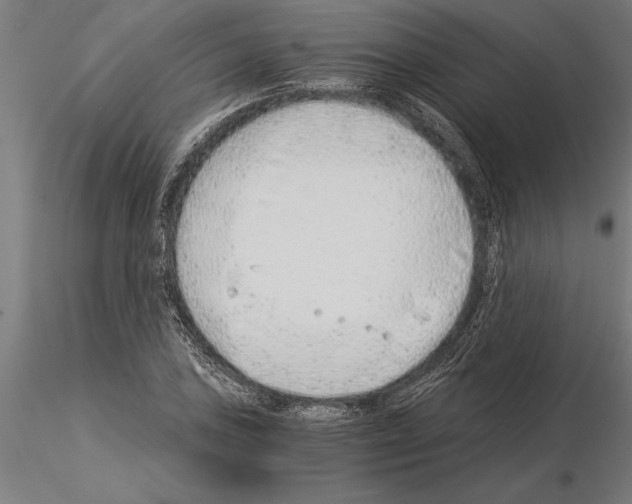 X0000115261027200912111135