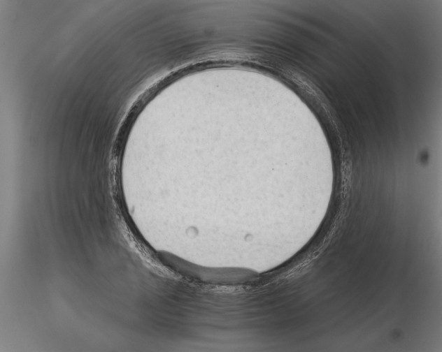 X0000115261029200912111135