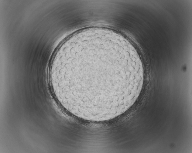 X0000115261032200912111136