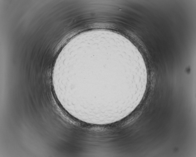 X0000115261033200912111136