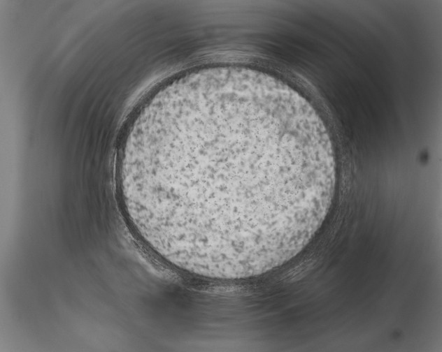 X0000115261035200912111136