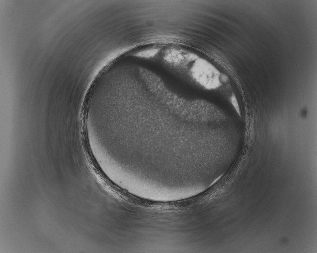 X0000115261037200912111136