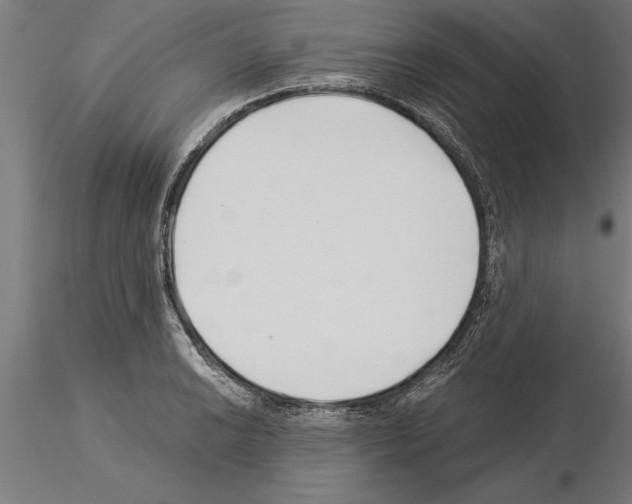 X0000115261038200912111136