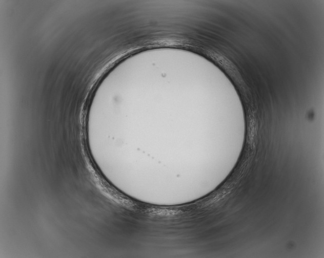 X0000115261039200912111136