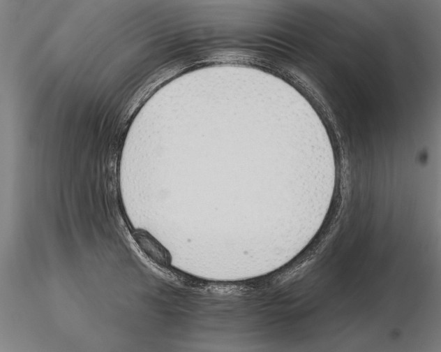 X0000115261041200912111136