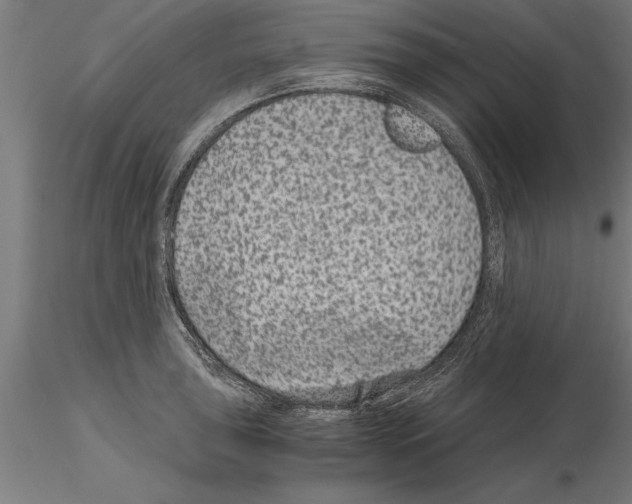 X0000115261043200912111136