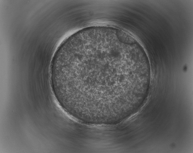 X0000115261045200912111136