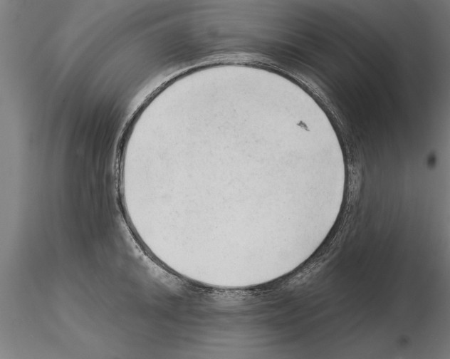 X0000115261046200912111136