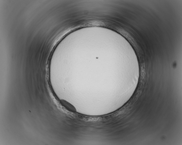 X0000115261047200912111136