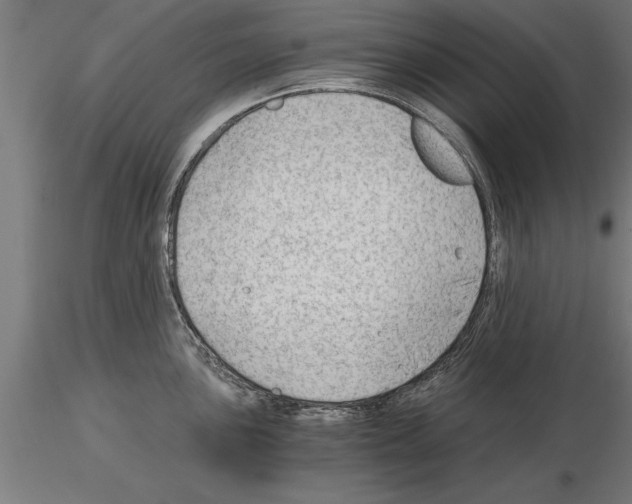 X0000115261051200912111136