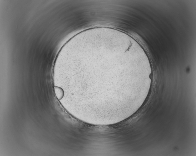 X0000115261052200912111136