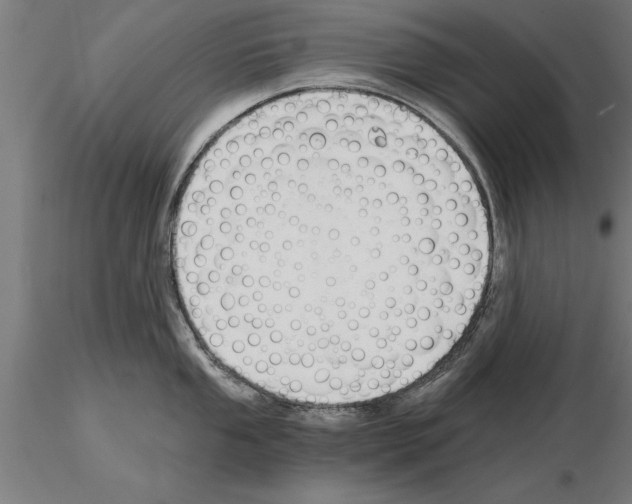 X0000115261053200912111136