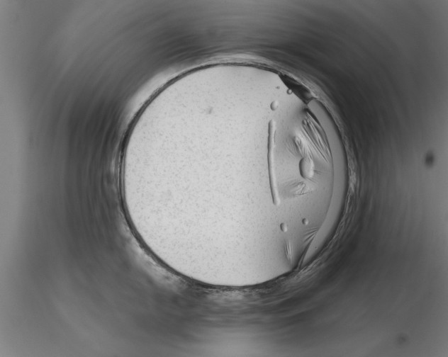 X0000115261054200912111136