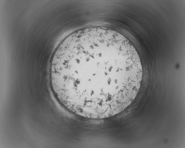 X0000115261055200912111136