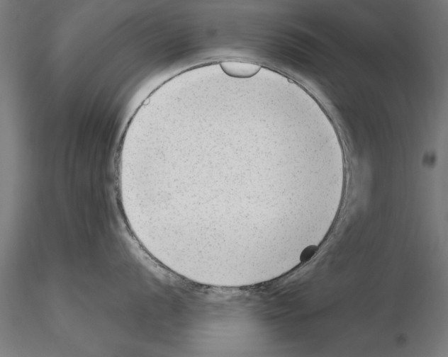 X0000115261056200912111136