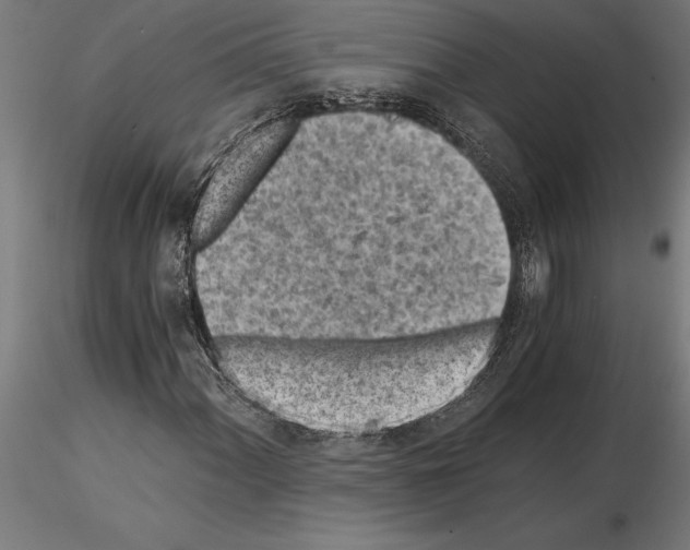 X0000115261060200912111135