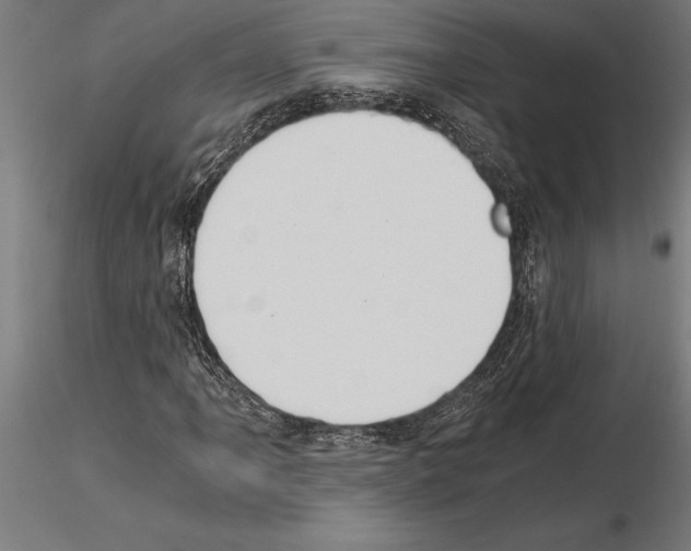 X0000115261061200912111135