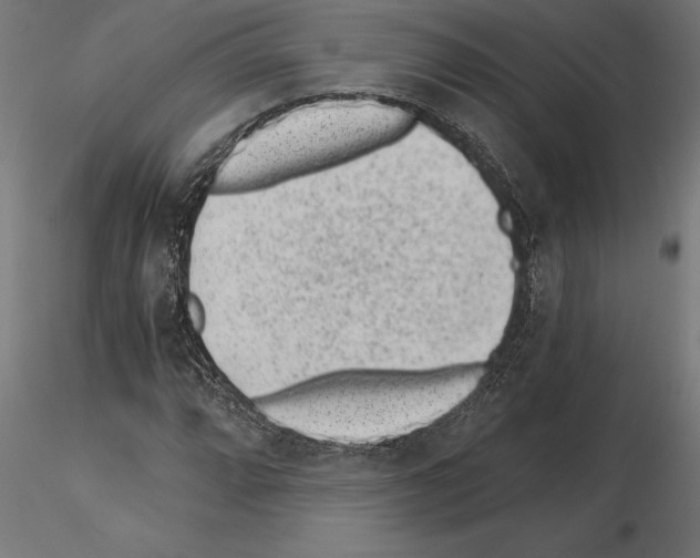 X0000115261064200912111135