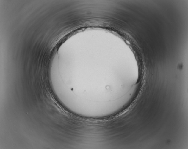 X0000115261065200912111135