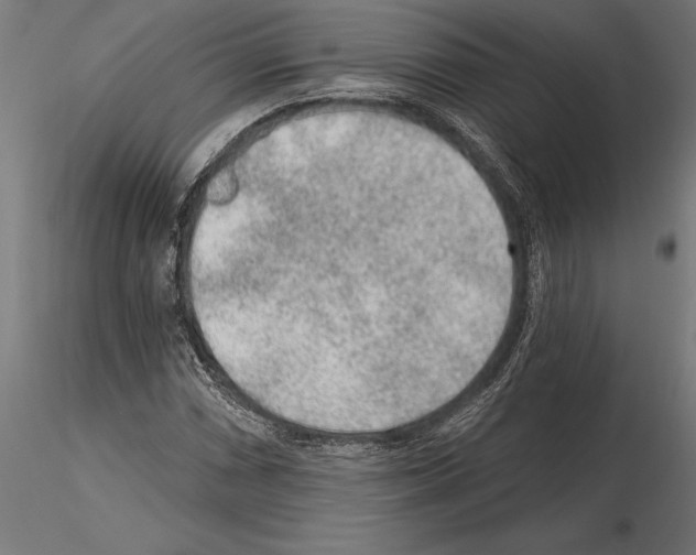 X0000115261066200912111135