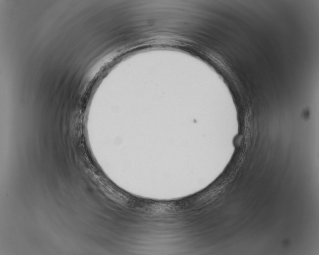 X0000115261067200912111135